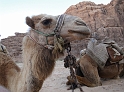 Wadi Rum (59)